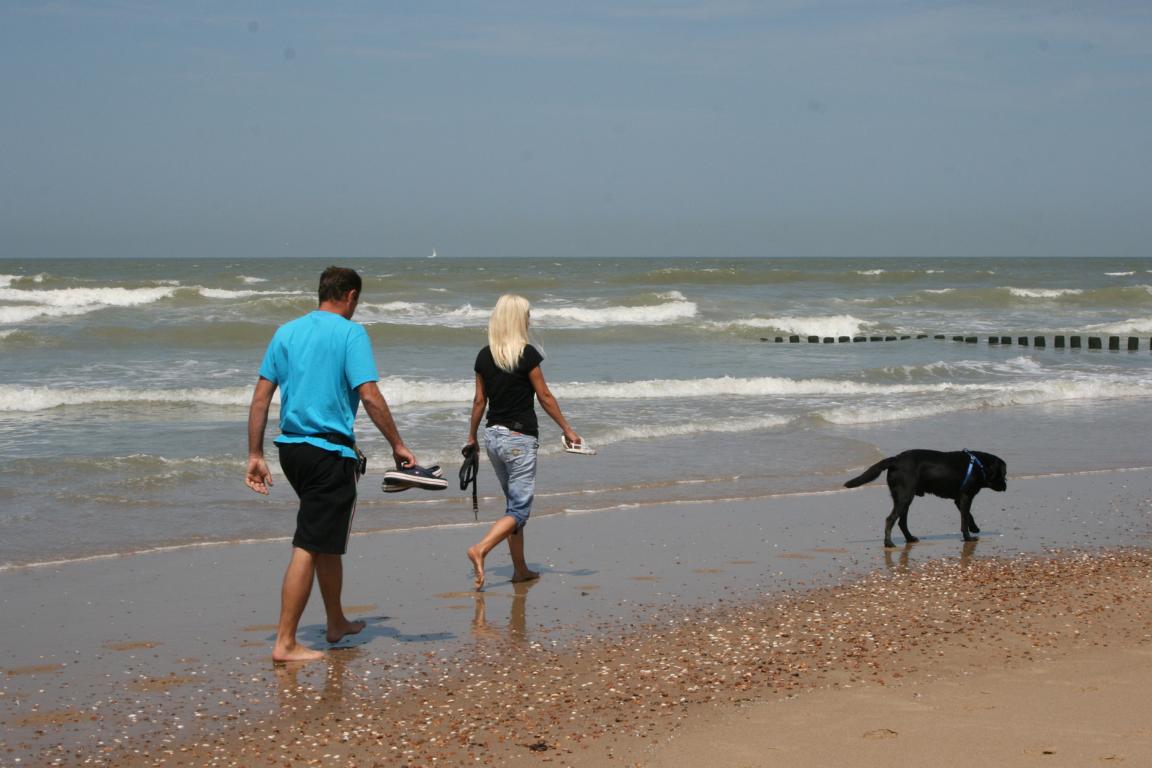 Cadzand-Bad: Hunde am Strand